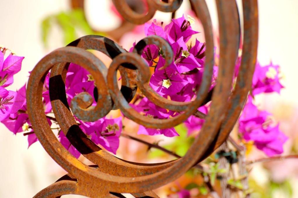 Mas De Mariette Bed & Breakfast Noves Екстериор снимка